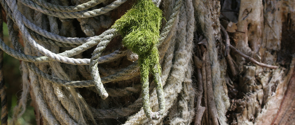 rope with moss